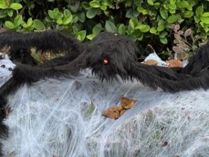 Lake Sawyer South Halloween Decorations