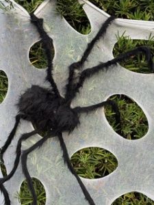 Lake Sawyer South Halloween Decorations