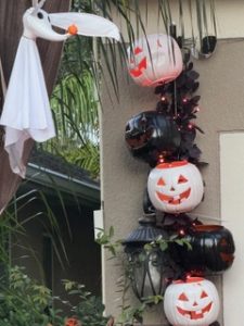 Lake Sawyer South Halloween Decorations