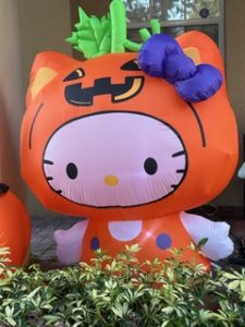 Lake Sawyer South Halloween Decorations