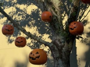 Lake Sawyer South Halloween Decorations