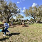 Lake Sawyer South - Easter Egg Hunt 2026