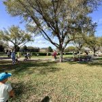 Lake Sawyer South - Easter Egg Hunt 2026